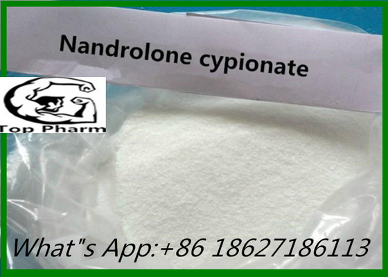 Nandrolone Cypionate 99% di purezza CAS 601-63-8 Rafforzare la forza e il muscolo