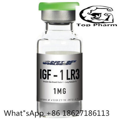 Peptide dell'ormone umano della crescita di Massachussets del muscolo della magra di aumento della polvere liofilizzato 170851-70 di IGF-1 LR3 CAS per culturismo