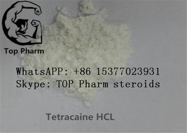 cloridrato del Tetracaine di purezza di 99%/Tetracaine HCL/Butethanol/Butylocaine CAS anestetico locale 136-47-0