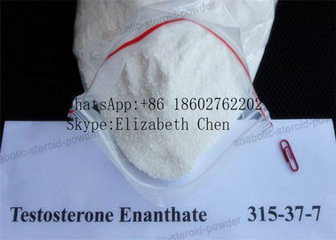 Polvere bianca di purezza di Enanthate CAS 315-37-7 99% del testosterone della polvere di guadagno del muscolo