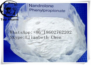 nandrolone Phenylpropionate/NPP CAS 62-90-8 di dosaggio di purezza di 99% per il corpo di costruzione   Potere bianco