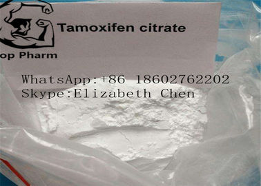 Polvere bianca maschio di Tamofen Nolva del citrato di tamoxifene degli steroidi di potenziamento di CAS 54965-24-1