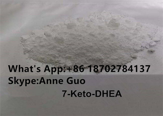 Polvere cruda steroide CAS 566-19-8 di purezza 7-KETO DHEA di 99% per salute immune